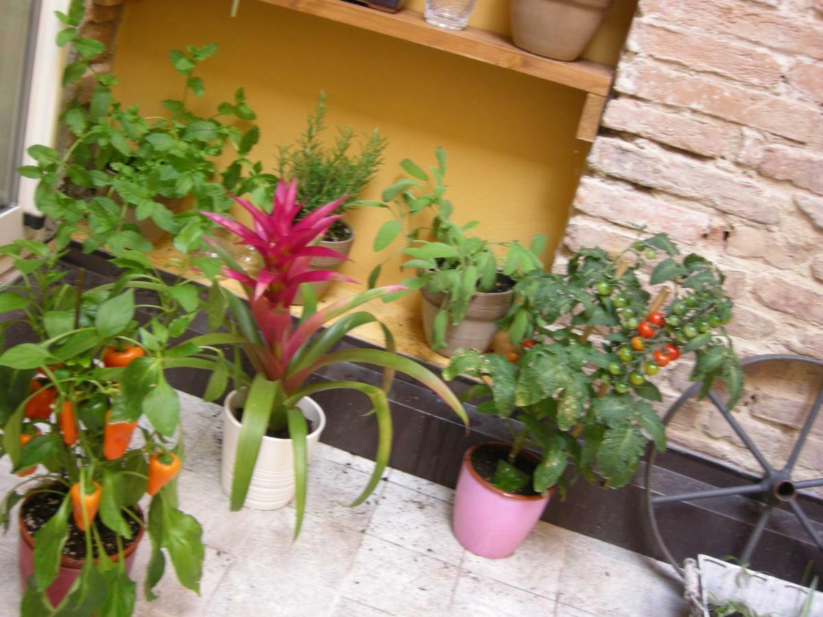 볼로냐 Terrazza Petroni 아파트 외부 사진